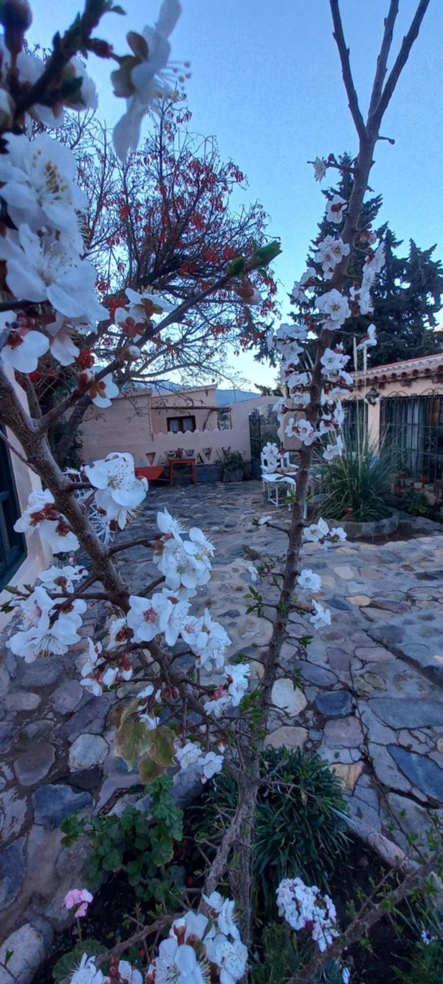 Los Arcabuceros Casa Hotel Boutique Tilcara Exterior foto